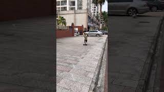 Smart dog on scooter !