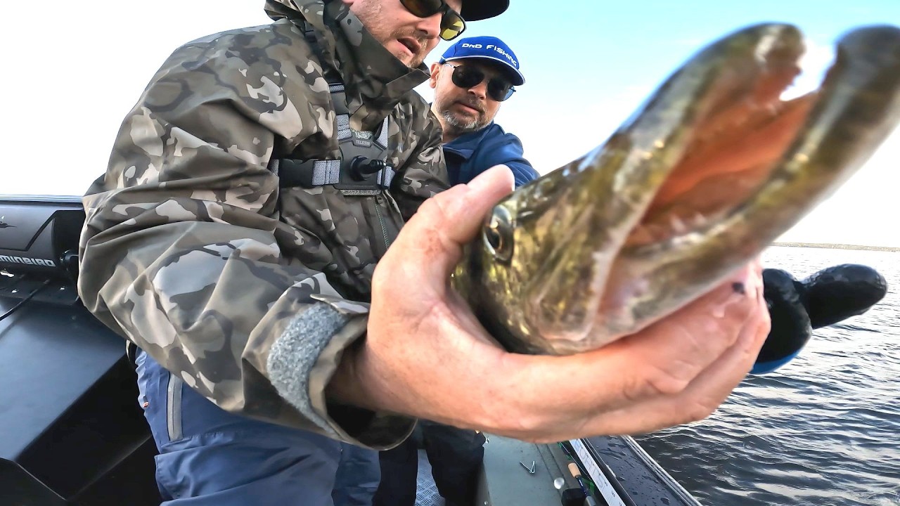 Wyprawa do Szwecji - Jak kupić licencję? Czy warto tu się wybrać na ryby? - Jezioro Glan