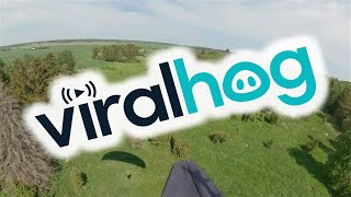 Paraglider Trying to Land is Confronted by Deer || ViralHog