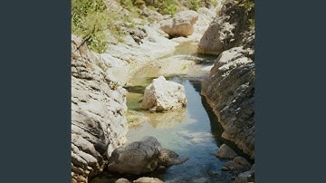 Sunny Day by the Creek (Loopable River)