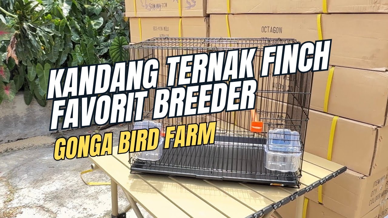 KANDANG TERNAK FINCH FAVORIT BREEDER PESAN DISINI 