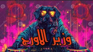 مزمار اورج  العبيط اهو هيكسر أفراح مصر رقص والحظ ياحظ   الحظيظة هيروحو المستشفى       خراب يامصر  سمعها