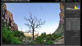 Screencast by @PhotoWalkPro from Screenr.com