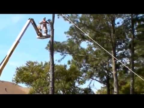 Tree Cutter