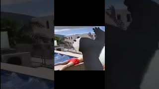 #panda #po#meme #2022 #popular