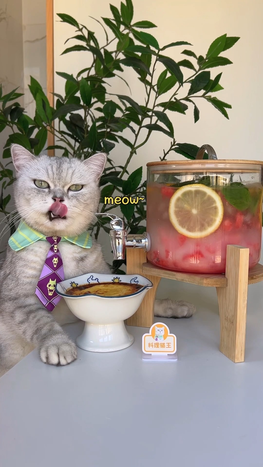 ?Can't Resist Watermelon Yakult And Yogurt Pudding!?? #catsofyoutube #foodlover #tiktok