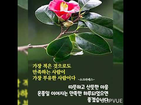 보릿고개 "진성&박서진 ( Chu-P)