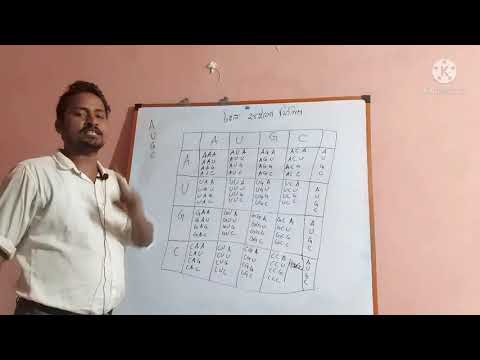 জেনেটিক কোড(Genetic Code)