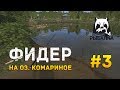 Русская рыбалка 4 #3 - Фидер на озере Комариное и прикормка