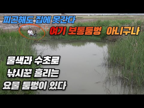 <strong>낚시꾼</strong> 홀리는 요물둠벙