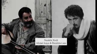 Nankör kedi/ Ahmet kaya & İbrahim tatlıses