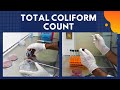 Total coliform count tcca complete procedure iso 48322006