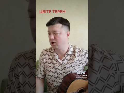 Українська народна пісня