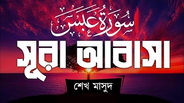 সূরা আবাসা / Surah Abasa - Amazing & Wonderful Quran 2023 - سورة عبس