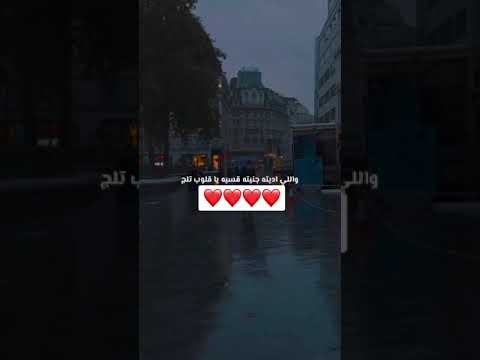 فلان بوش ولا بوشين