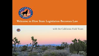 Webinar - How Legislation Becomes Law in California