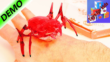 Hexbug Scarab Robot Toy moves like a real insect! - Hexbug Nano