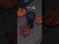 #islamabad #weather #pakistan #ishq #autumn #leaves #rain #shorts #subscribe #follow