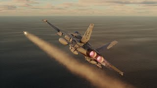 F-16 vs F-18 Dogfight DCS screenshot 4