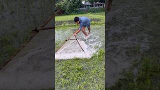 Rural Bangladesh Fishing | Amazing Giant Fish Catching Skills