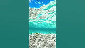 Bạn biết giá trị và sức mạnh của dồng tiền trong xã hội hiện thực này không ?#shorts #trendingshorts