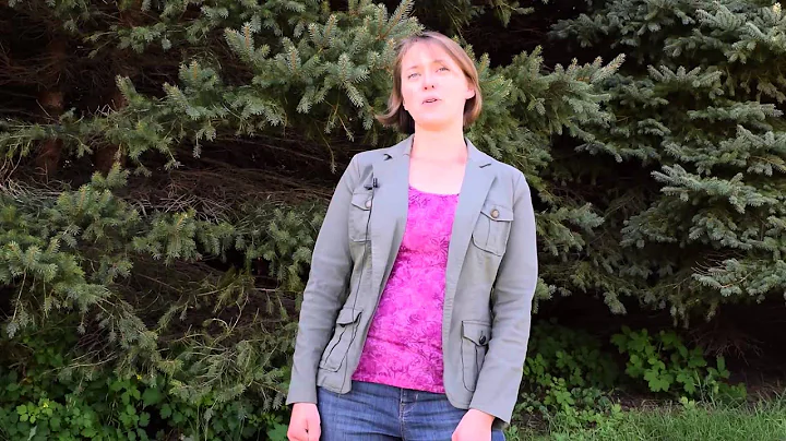 Alicia Carlson, Forest Stewardship Program Outreac...