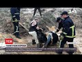 Новини України: у Житомирській області рятувальники дістали корову з глибокого провалля