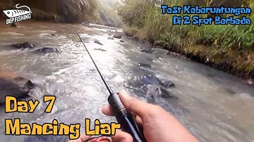 Day 7 Mancing Liar I Casting I Gabus I Hampala I Bikin Nangis I @depfishingOfficial 