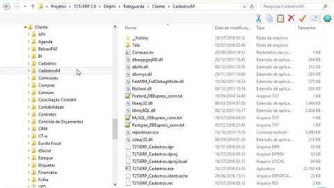 T2Ti ERP Lite - Delphi - Infra - Video Aula 04 - Cliente T2Ti ERP com mORMot