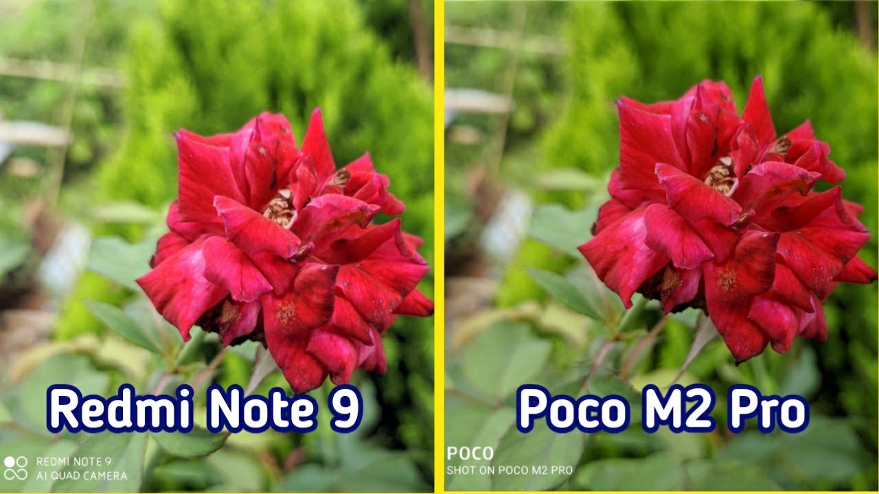 Poco M2 pro vs Redmi Note 9 camera comparison | Redmi Note 9 camera | Tech 4 camera