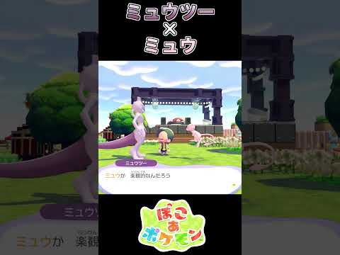 【ぽこあポケモン】慎重派ミュウツーと楽観的なミュウ【ポケモン】