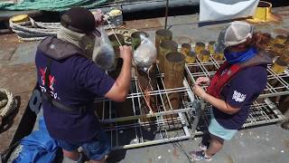 NBC’s 44th Annual: Macy’s 4th of July Fireworks Spectacular  Prep B Roll h264 hd