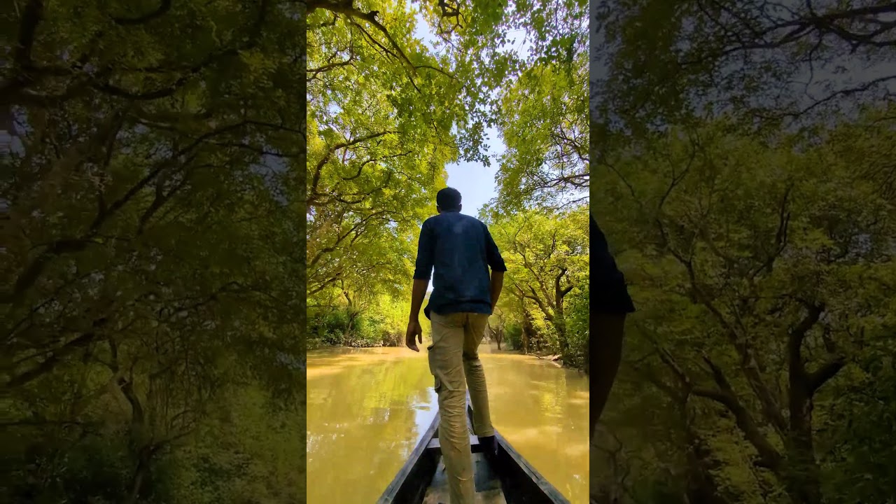 রাতারগুল Swamp Forest Sylhet