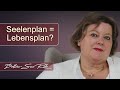 Seelenplan Lebensplan Mp3 Song