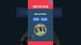 True or False? #shorts #youtubeshorts #quiz