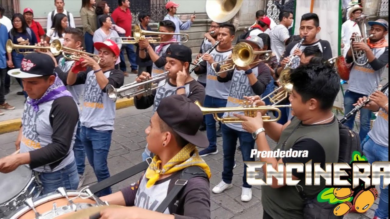 BANDA ENCINERA - RAMITO DE VIOLETAS, SENTIMIENTO MUERTERO, NACIDOS PARA SER SALVAJES - CALENDA 2019