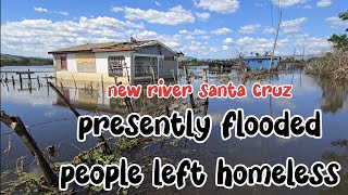 Download Lagu Melissa flood waters  left hundreds homeless in new river santa cruz  #flooding #melissa #jamaica MP3