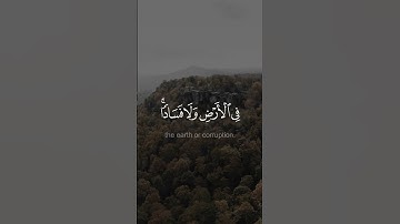 تلك الدار الأخرة - #سعود_الشريـم  -  #سورة_القصص #حالة_واتس