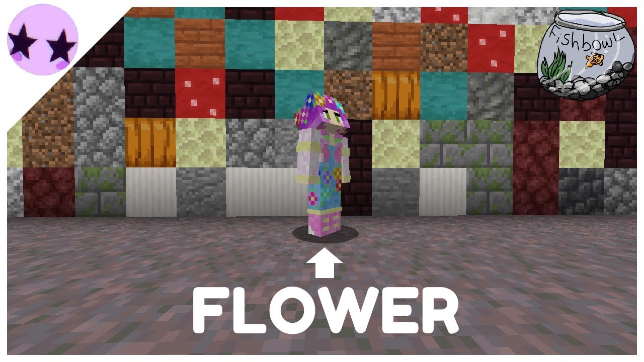 Causing CHAOS on the Fishbowl SMP