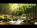 Morning at the Creek 🎶 Deep Relaxation Flute
