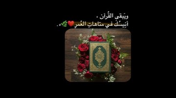 ارح قلبك ❤حالات واتس اب قران//آيات قرآنيه قصيره//ستوريات قران انستا//Quran Status🖇بدون حقوق🍃