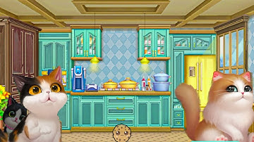 Cute Kittens in the Kitchen , Kitten Match Story