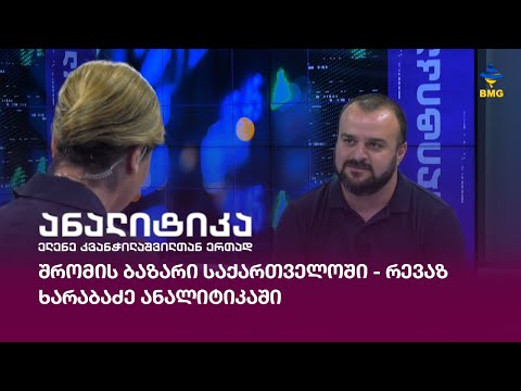 შრომის ბაზარი საქართველოში - რევაზ ხარაბაძე ანალიტიკაში