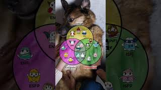 As 16 Personalidades LOUCAS e   😂😂 || #16personalidades #16tipos #infp #intp #infj #intj #shorts