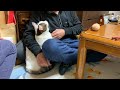 よそよそしい猫とおじいちゃんにホッコリする