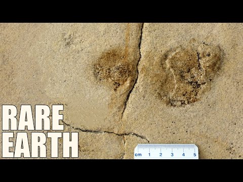 Does this Footprint Prove The First Humans Were European?