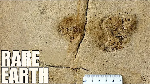 Does this Footprint Prove The First Humans Were European?