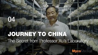 Professor Xu's Lab: The Power of Hericium Revealed