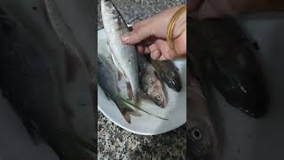 İsmini Bilmiyorum Ama Yemesi Benden Sorulur