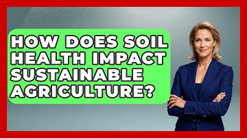 How Does Soil Health Impact Sustainable Agriculture? - Explaining Ecology